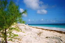 Bermuda Bermuda